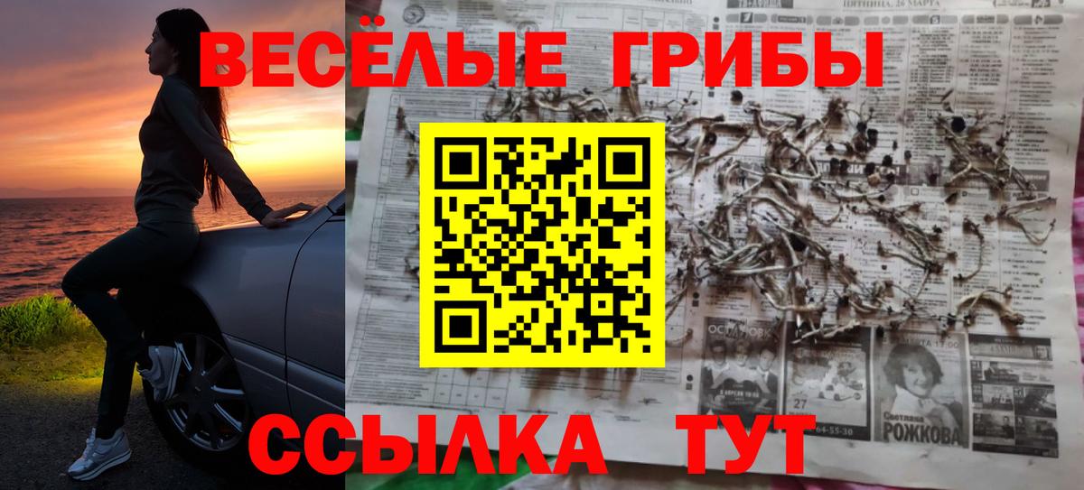 Галлюциногенные грибы прущие грибы Карасук
