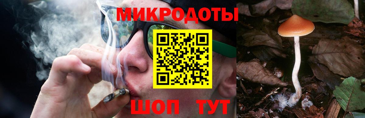 Псилоцибиновые грибы Magic Shrooms  Вход с VPN  Карасук 