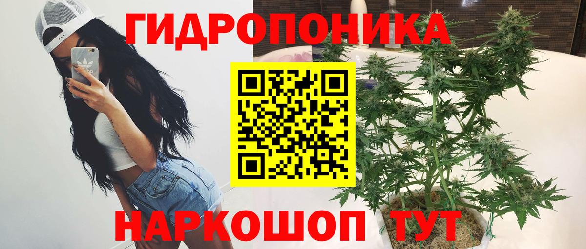 Марихуана планчик Карасук
