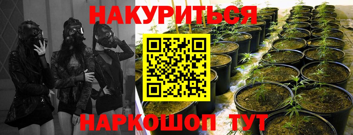 Шишки марихуана гибрид  Вход с VPN  Шишки марихуана VHQ  Канабис семена  Марихуана гибрид  Карасук 
